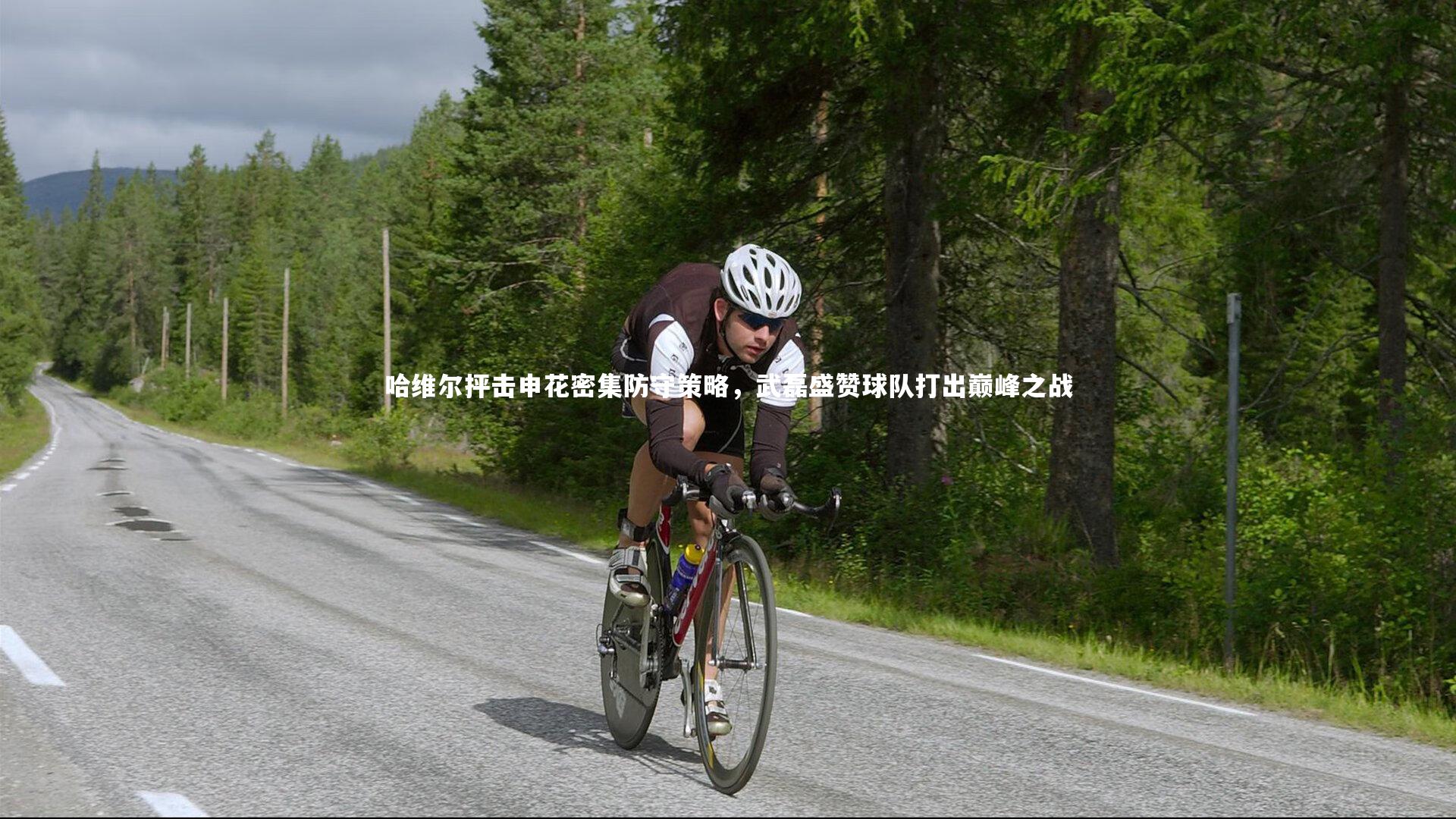 哈维尔抨击申花密集防守策略,武磊盛赞球队打出巅峰之战